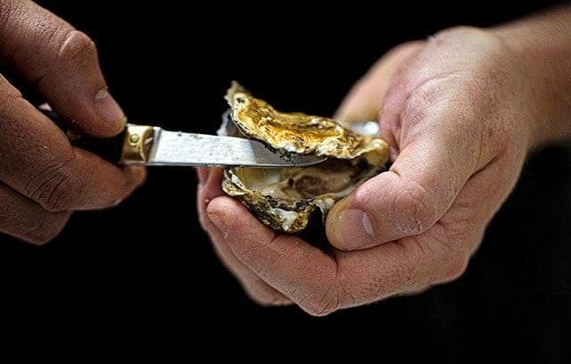 A porthilly oyster, freshly shucked, in hand